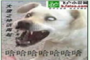 大唐之神话再起
