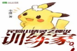 宠物小精灵之神级训练家
