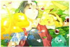 神奇宝贝之赤路漫漫