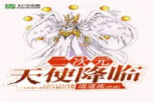 二次元：天使降临