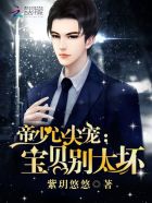 帝少心尖宠:宝贝,别太坏