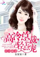 惹火前妻:高冷总裁,轻点宠