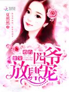 蜜宠婚约:四爷放肆宠