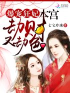 爆宠狂妃:本宫劫财又劫色