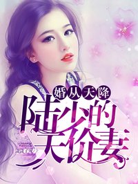 婚从天降:陆少的天价妻