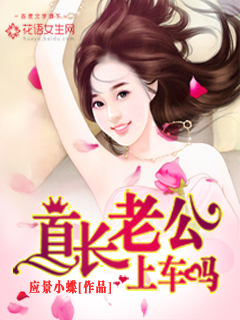 首长老公,上车吗?