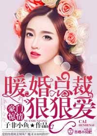 豪门惊情:暖婚总裁狠狠爱