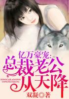 亿万豪宠:总裁老公从天降