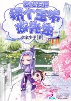 教化天下:拐个王爷做先生