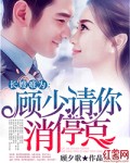 长嫂难为:顾少请你消停点