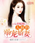 入骨暖婚:大叔的溺宠娇妻