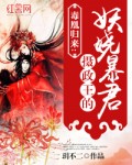毒凰归来:摄政王的妖娆暴君
