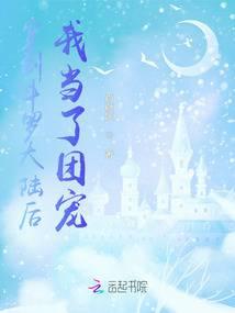 穿到斗罗大陆后我当了团宠