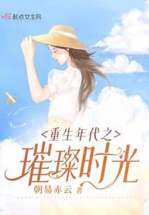 重生年代之璀璨时光