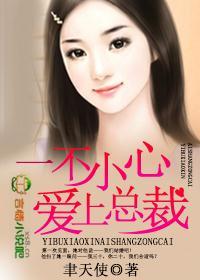一不小心爱上总裁