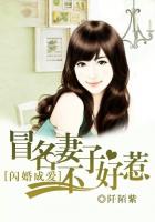 闪婚成爱：冒名妻子不好惹