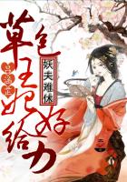 妖夫难休：草包王妃好给力