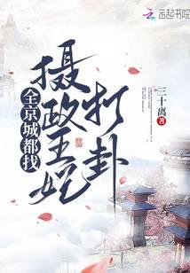 全京城都找摄政王妃打卦