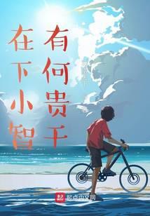 在下小智，有何贵干