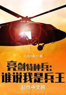 亮剑特种兵：谁说我是兵王