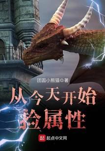 从今天开始捡属性