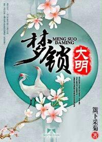 梦锁大明
