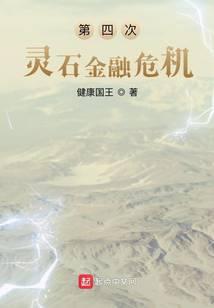 第四次灵石金融危机