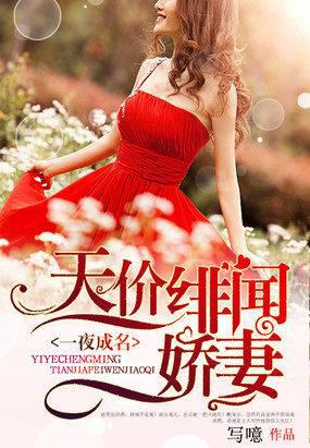 一夜成名：天价绯闻娇妻