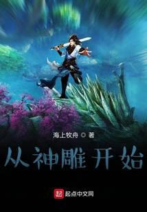 从神雕开始