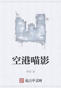空港喵影