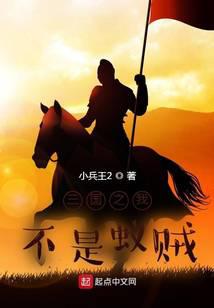 三国之我不是蚁贼