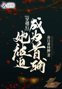 穿越后她被迫成为首辅