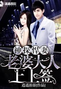 神探悍妻之老婆大人上上签