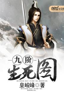 九阶生死图