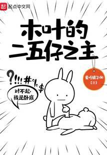 木叶的二五仔之主