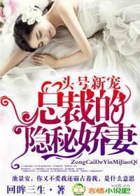 头号新宠，总裁的隐秘娇妻！