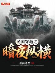 民国穿越之暗夜纵横