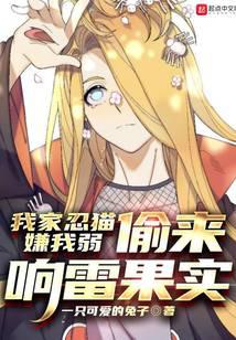 我家忍猫嫌我弱，偷来响雷果实