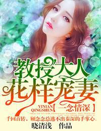 一念情深，教授大人花样宠妻