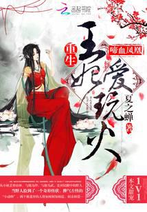 啼血凤凰：重生王妃爱玩火