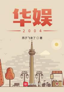 华娱2004