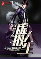 穿越之虚拟人生