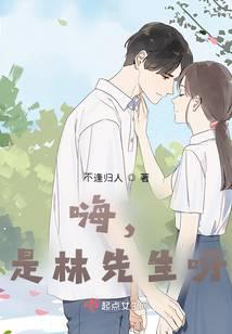 嗨，是林先生呀！