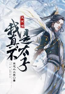 大宋：嘘，我真不是太子