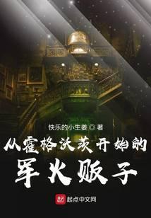 从霍格沃茨开始的军火贩子