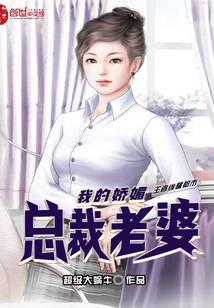 我的娇媚总裁老婆
