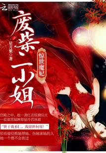 惊世魔妃：废柴二小姐