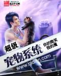 超级宠物系统