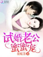 试婚老公,蜜蜜宠!