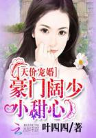 天价宠婚:豪门阔少小甜心
